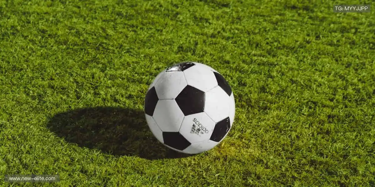 🎯专业装备，助你突破极限边界！